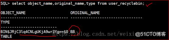 Oracle 11g R2 Rman、数据泵、闪回备份与恢复