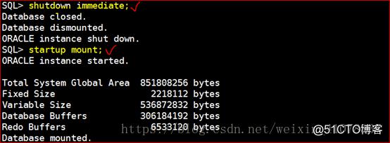 Oracle 11g R2 Rman、数据泵、闪回备份与恢复