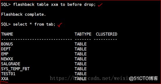 Oracle 11g R2 Rman、数据泵、闪回备份与恢复