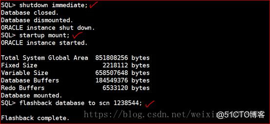 Oracle 11g R2 Rman、数据泵、闪回备份与恢复