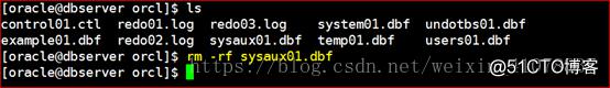 Oracle 11g R2 Rman、数据泵、闪回备份与恢复