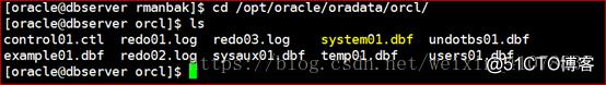 Oracle 11g R2 Rman、数据泵、闪回备份与恢复