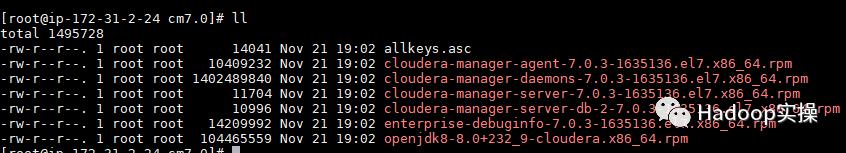 0733-7.0.3-如何在Redhat7.6中安装CDP DC7.0.3