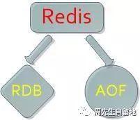 一篇文章了解Redis数据库