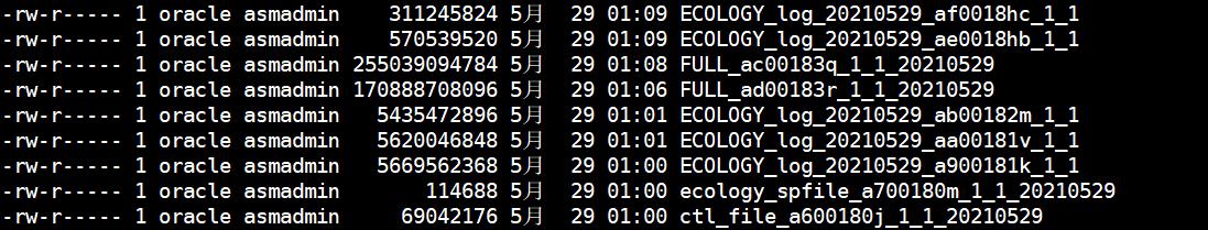 某大型车企 Oracle RAC 环境数据备份与恢复 实践