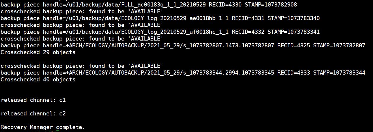 某大型车企 Oracle RAC 环境数据备份与恢复 实践