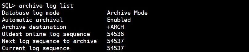 某大型车企 Oracle RAC 环境数据备份与恢复 实践