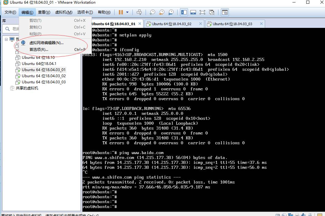 VM虚拟机安装ubuntu 18.04.03 server桥接配置