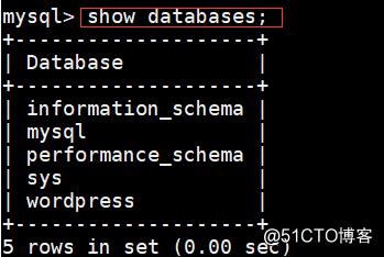 docker安装WordPress-web mysql分布式安装