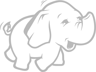 面向Hadoop备份方式的保护