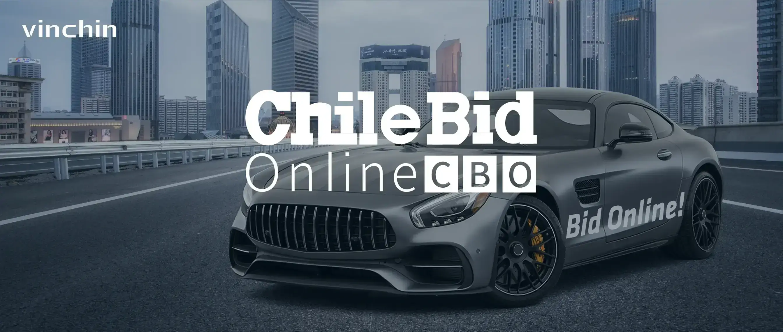 云祺，智利，汽车拍卖，Chile Bid Online，存储，备份，恢复，还原，容灾，传统备份，数据，安全，数据归档，定时备份，实时备份