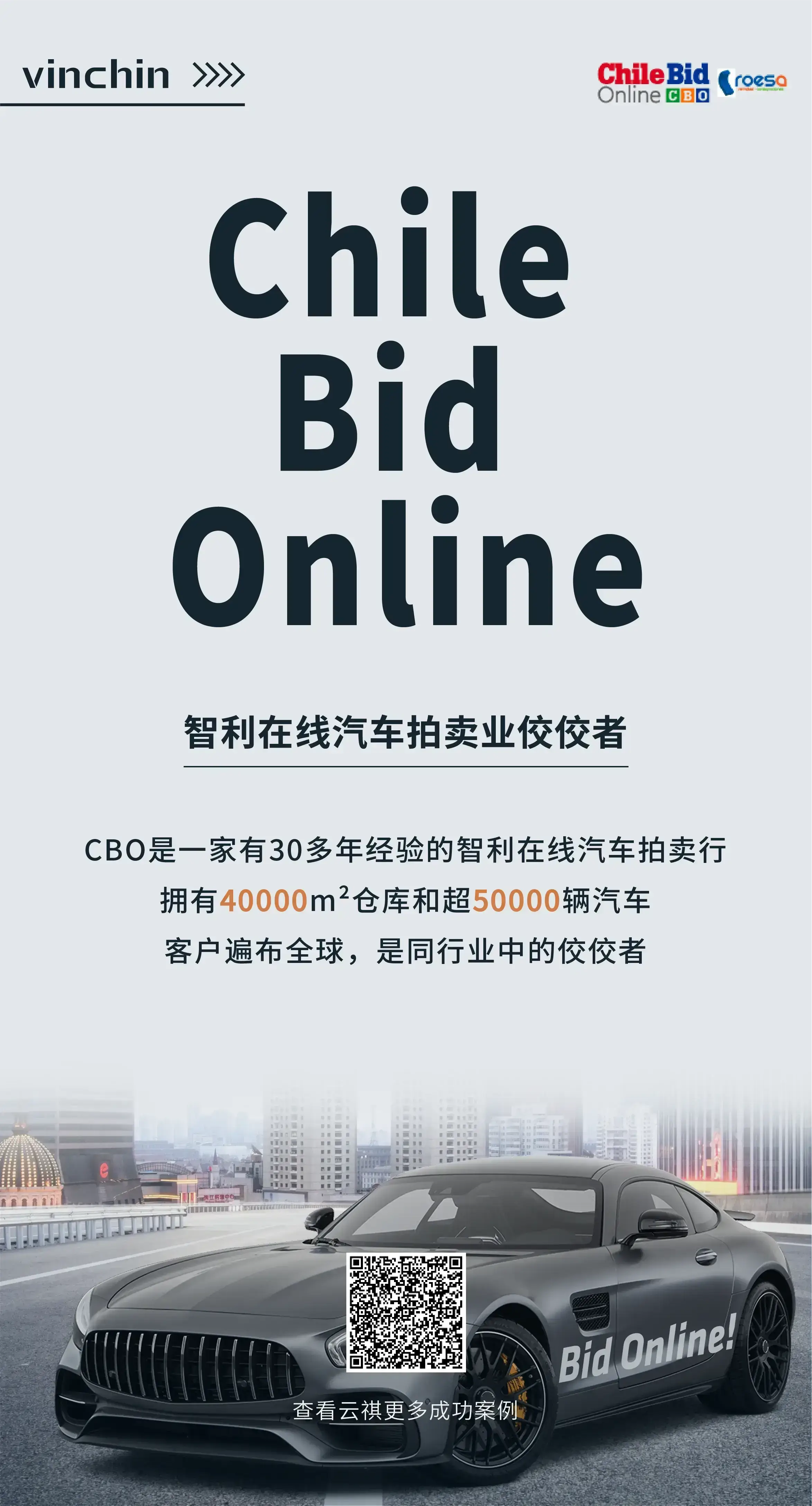 云祺，智利，汽车拍卖，Chile Bid Online，存储，备份，恢复，还原，容灾，传统备份，数据，安全，数据归档，定时备份，实时备份